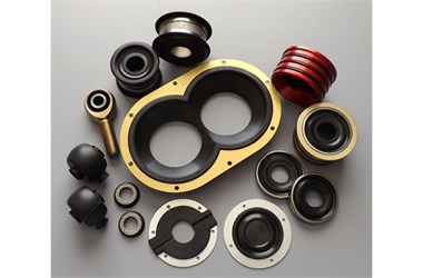 sit seals it group image.jpg